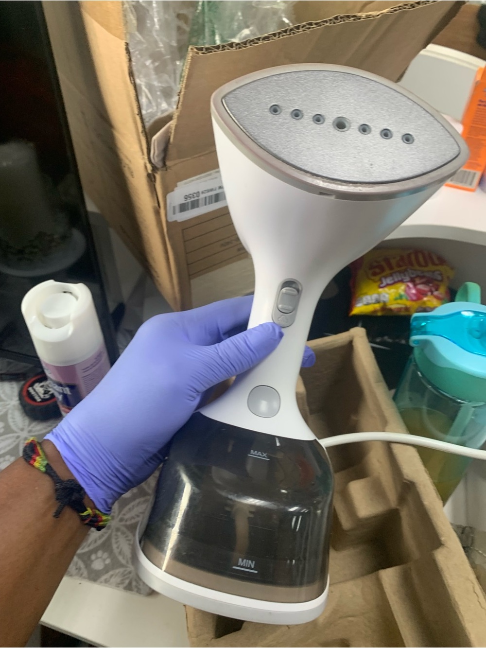 Handheld Garment Steamer - White and Silver